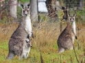 ��������� �� ������� �� ������� ������� ��������� ������� ���������